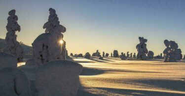 Paysage de Laponie en hiver