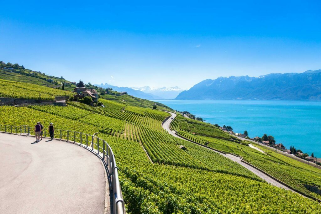 Vignobles de Lavaux