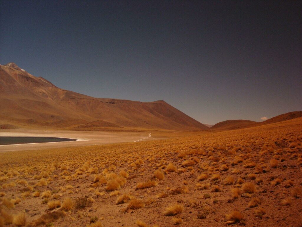 atacama