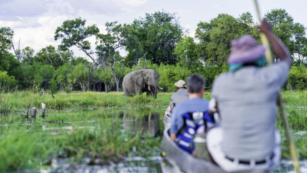 Rencontre avec un éléphant lors d'un safari en mokoro sur la rivière Khwai, delta de l'Okavango, Botswana