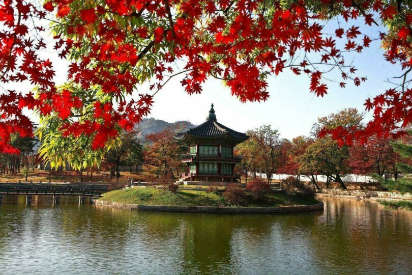 Pourquoi visiter la Corée du Sud, le pays du matin calme ?