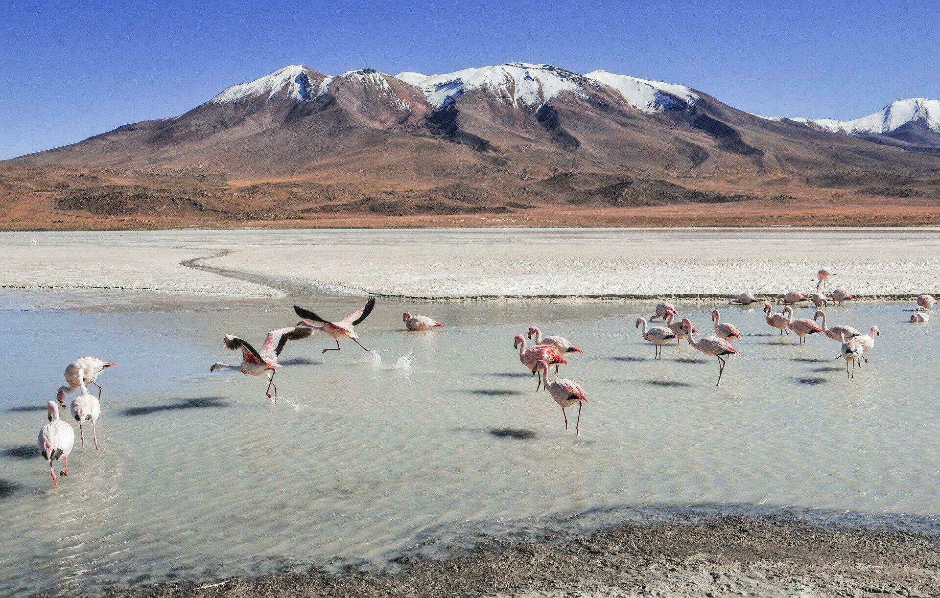 Lagunes Bolivie