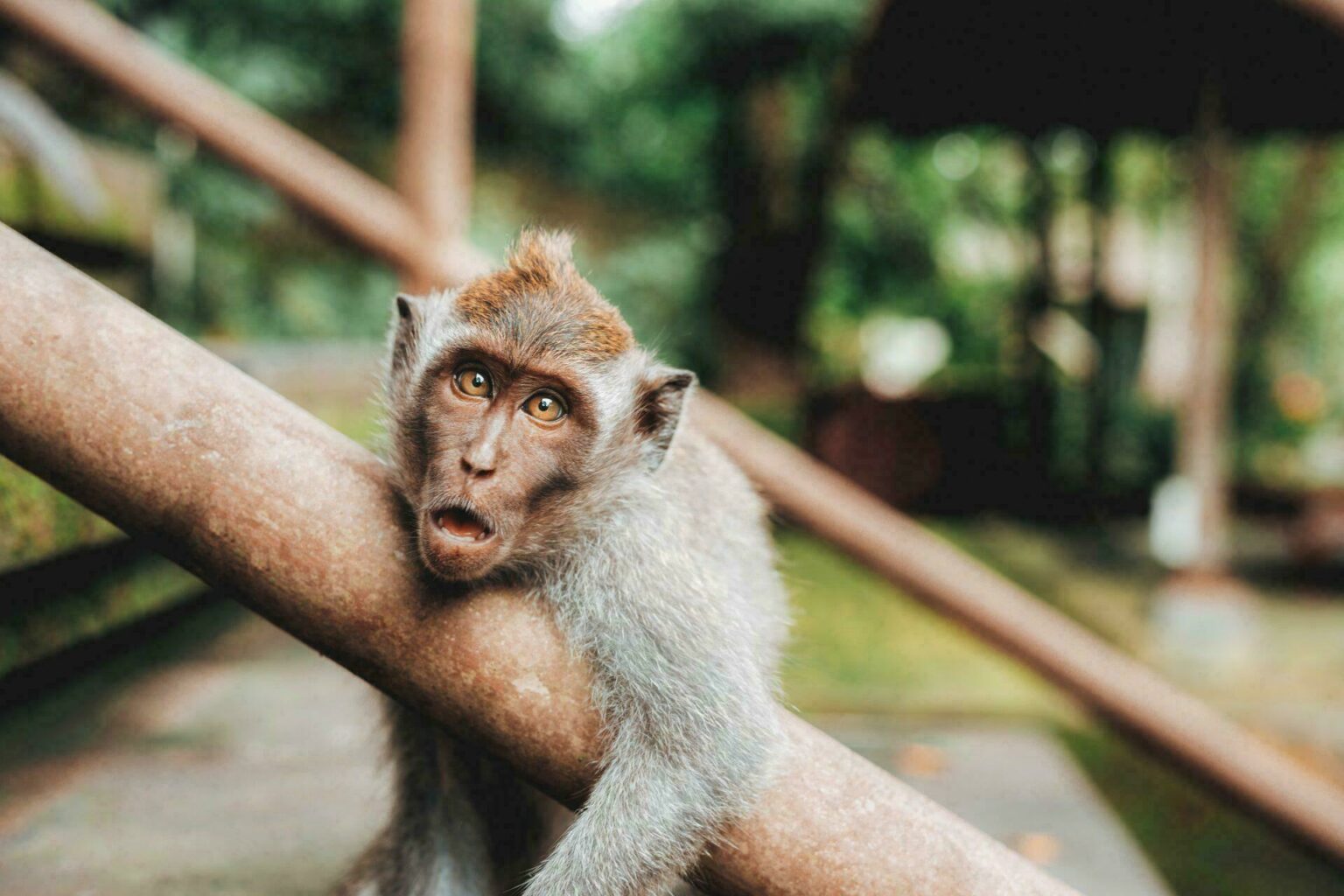10 anecdotes de voyage insolites