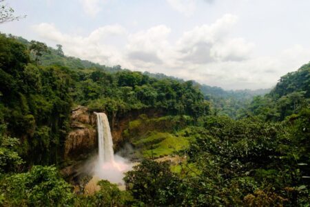 Voyager au Cameroun : l’essentiel pour préparer votre séjour