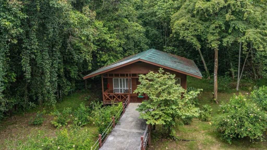 Un lodge dans la forêt tropicale de Bornéo (Malaisie)