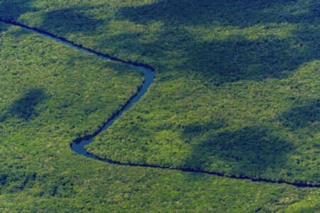 Pourquoi visiter le Suriname ? Voici 6 bonnes raisons d’y aller