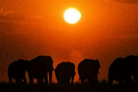 Botswana, 5 bonnes raisons de découvrir ce pays