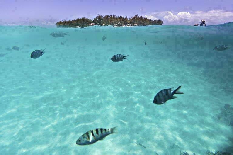 Les merveilles de l'Ile de la Réunion