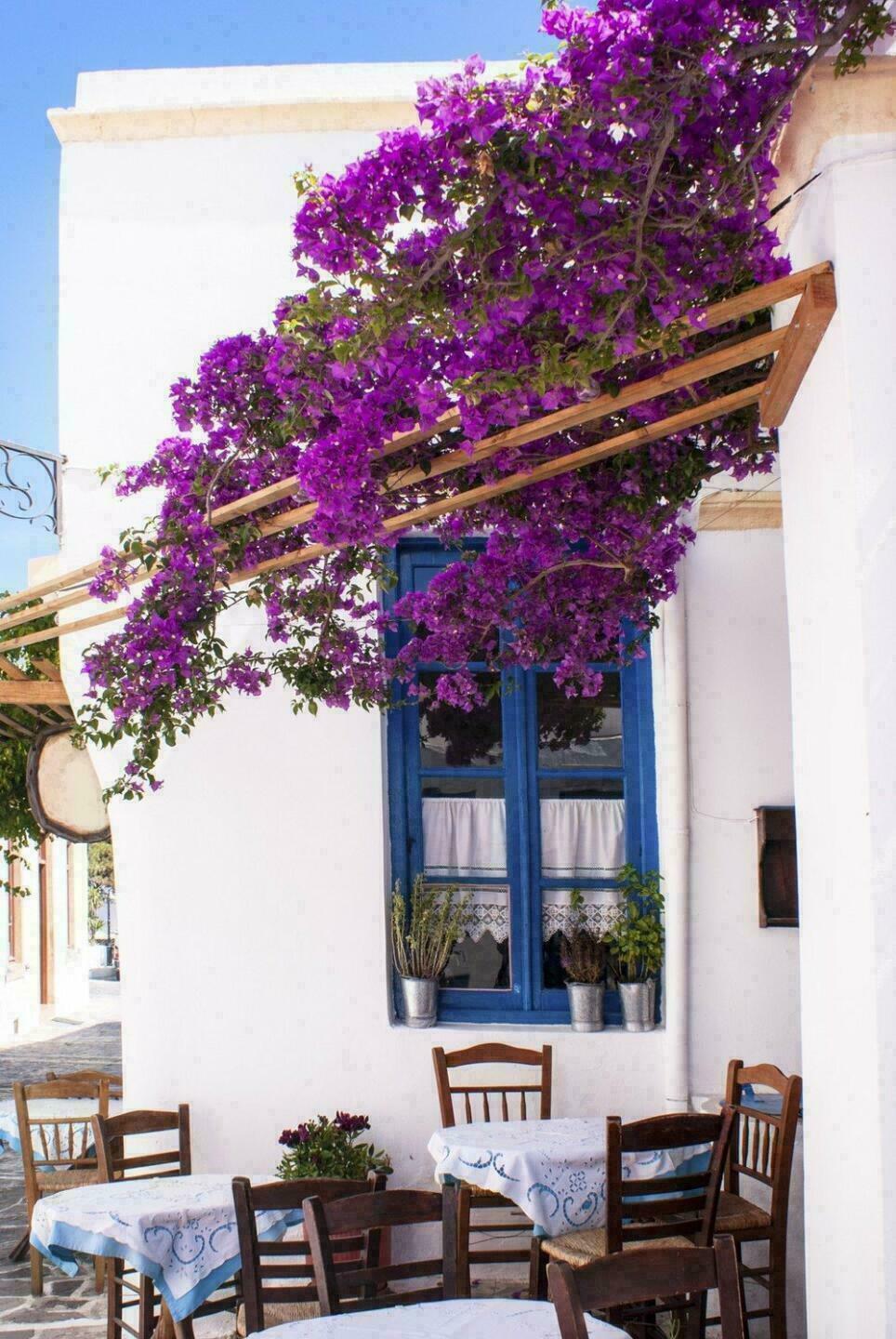 Cyclades, île de Sifnos