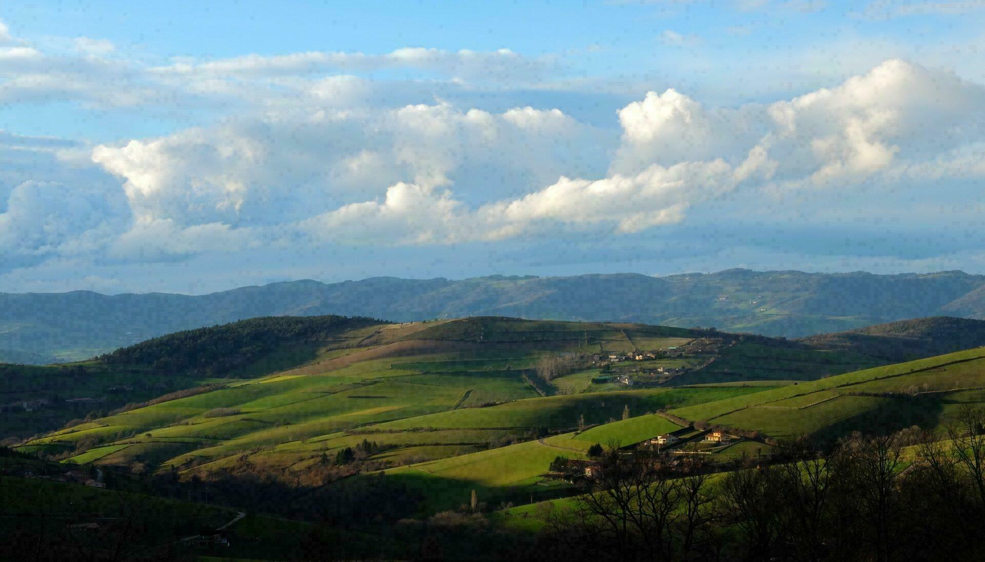 Paysage du parc du Pilat