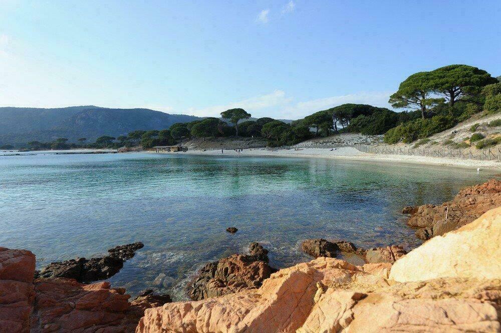 Plage de Palombaggia près de Porto-Vecchio