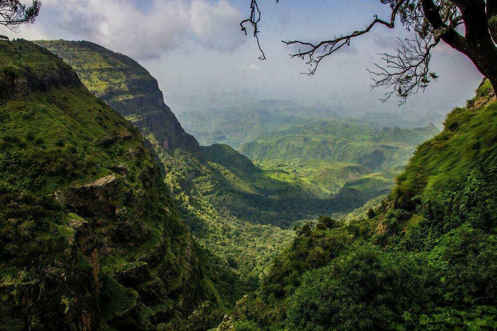 Les montagnes vertes du Simien