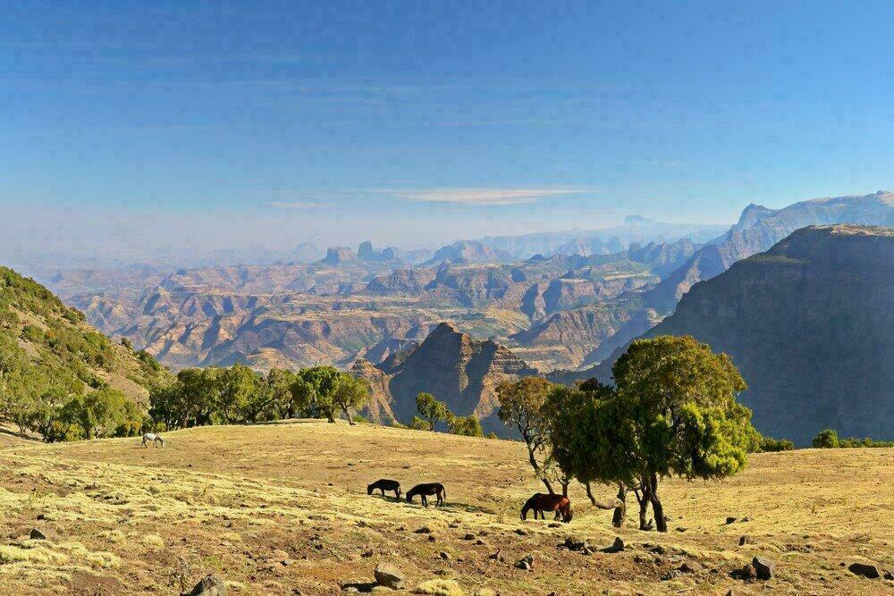 Panorama dans le parc national du Simien