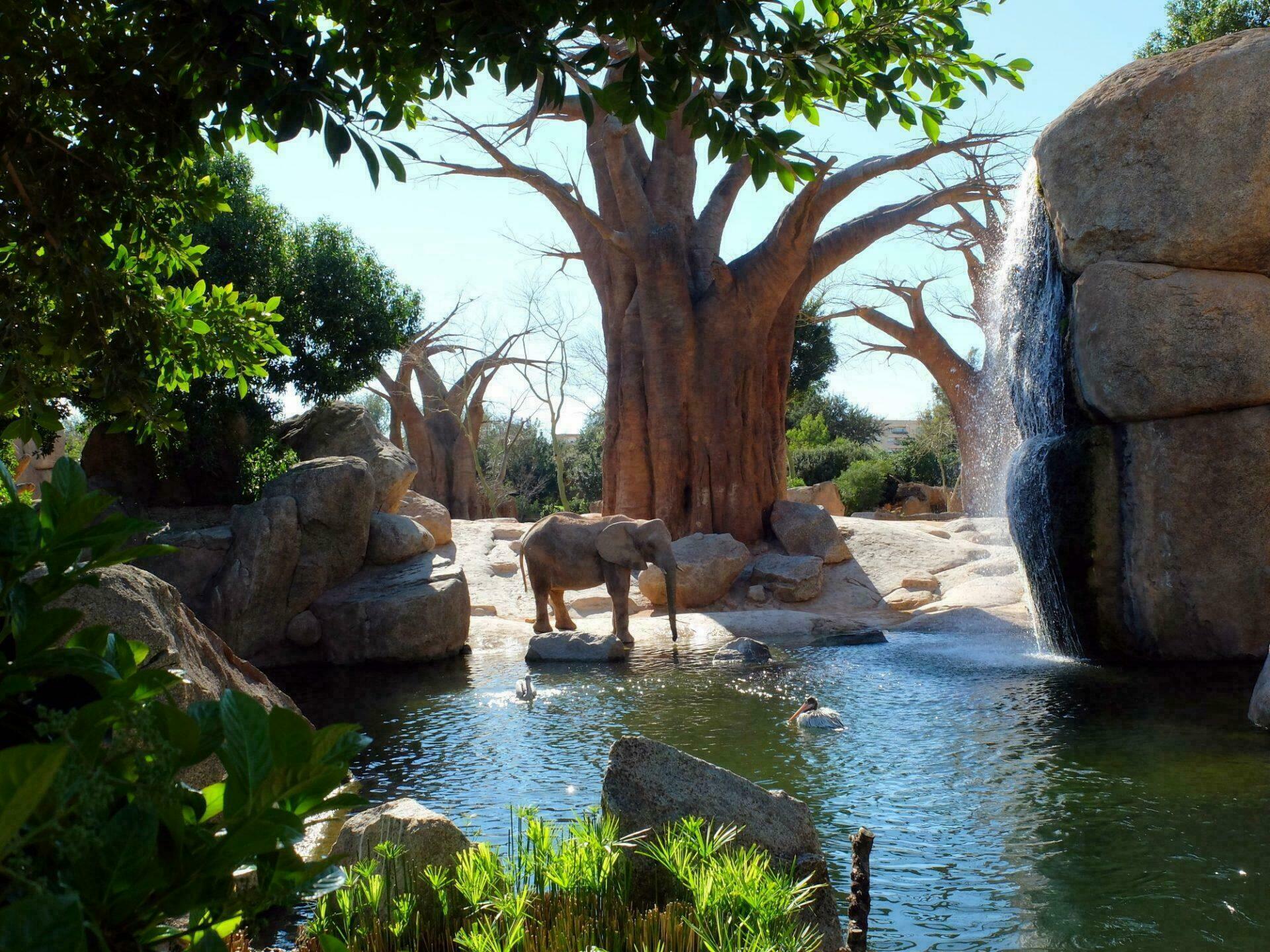 Le BioParc de Valencia