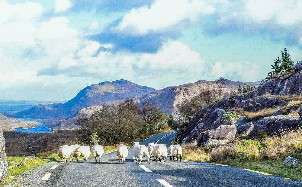 Ring of Kerry, Irlande