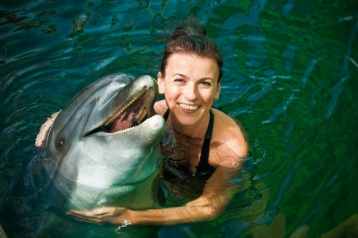 Nager avec les dauphins