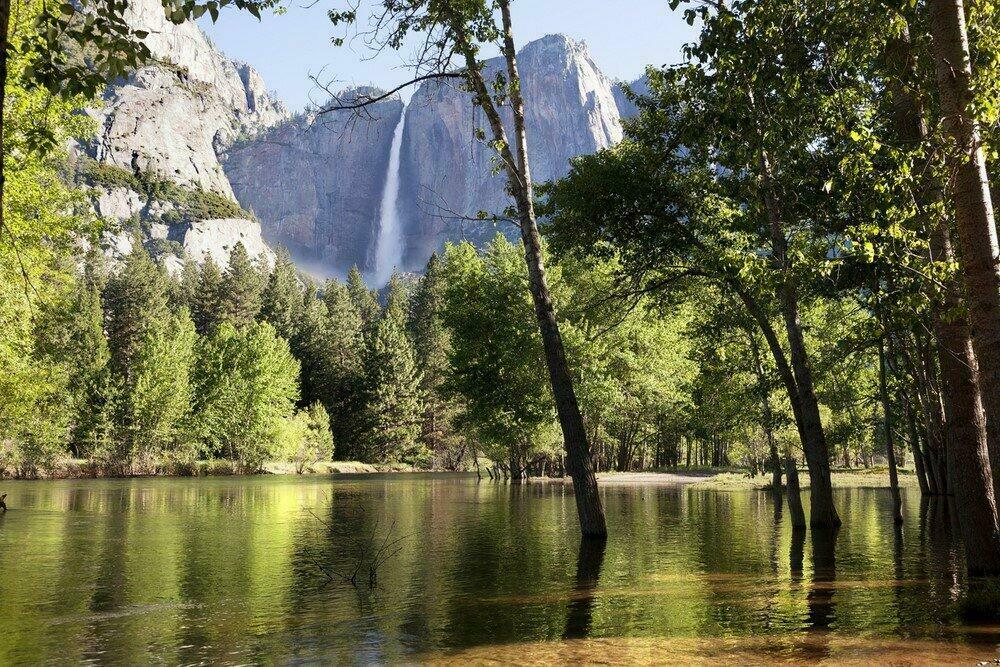 Chutes de Yosemite, l'un des parcs nationaux les plus connus