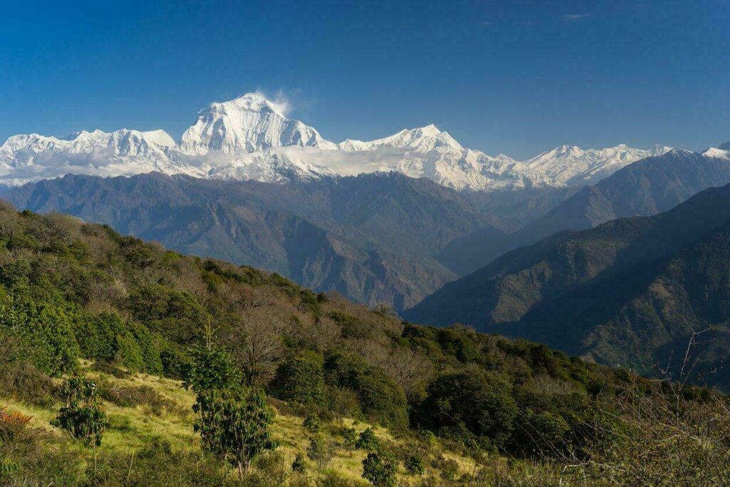 Vue sur le Dhaulagiri