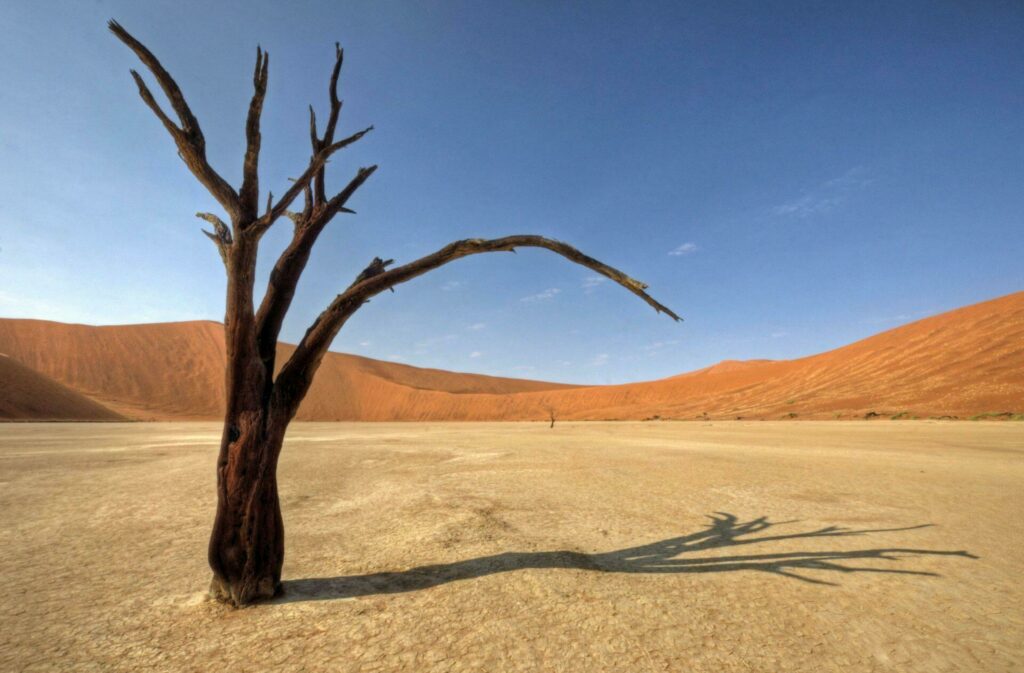 Dunes et désert en Namibie