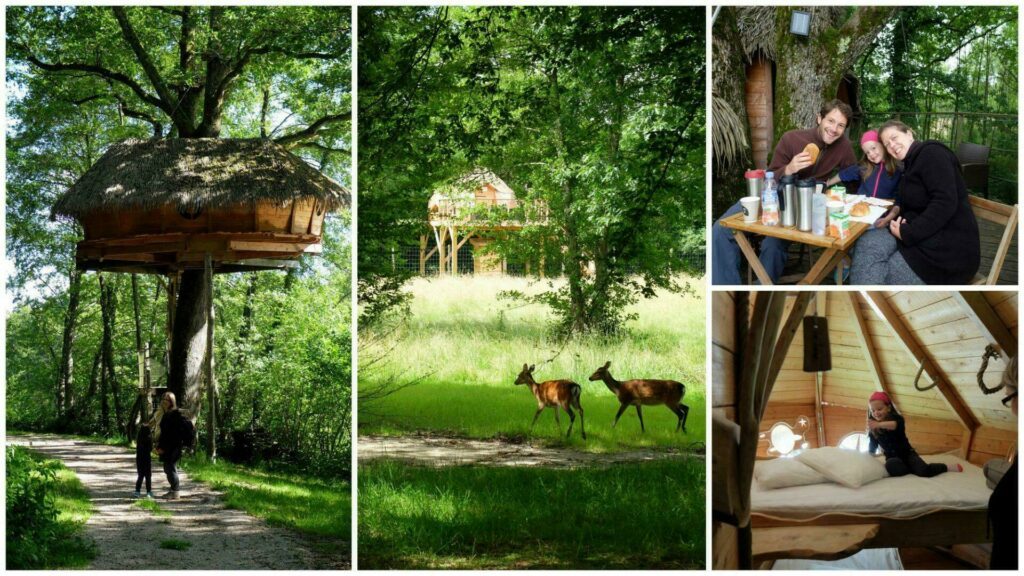 Cabane perchée dans un arbre, ou sur pilotis 