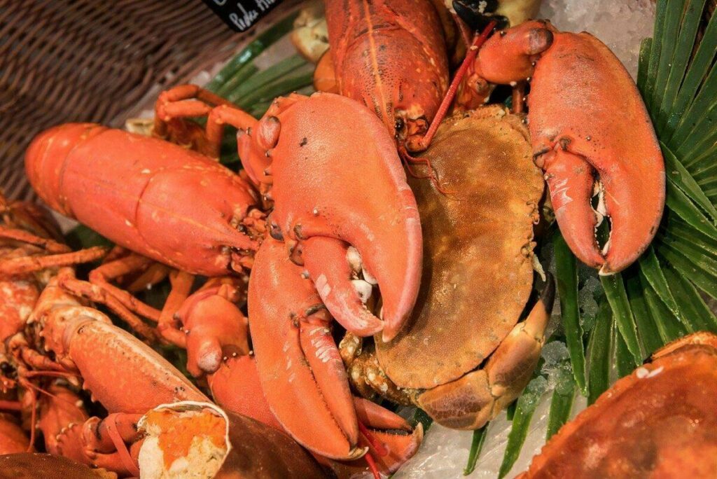 Homards de l'île de Ré