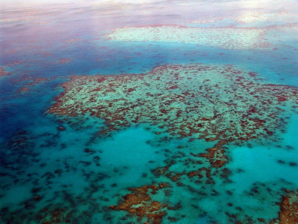 Découvrir une barrière de corail en Australie