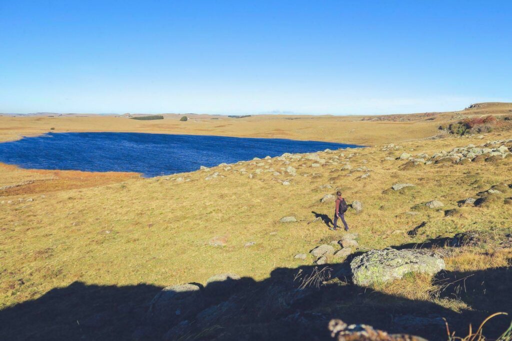 Randonnée sur le plateau de l'Aubrac