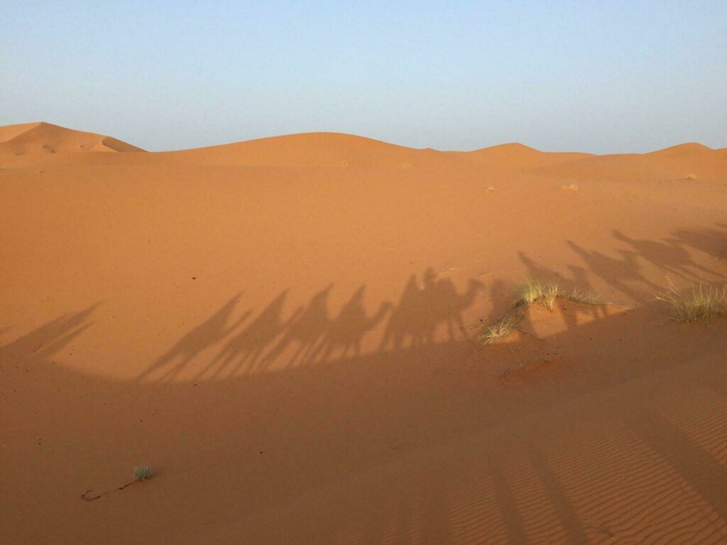 Désert du Sahara en amoureux