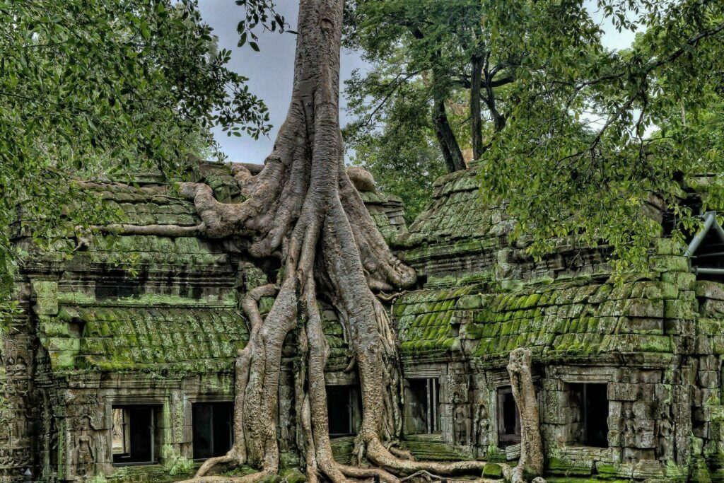 Temples d'Angkor au Cambodge