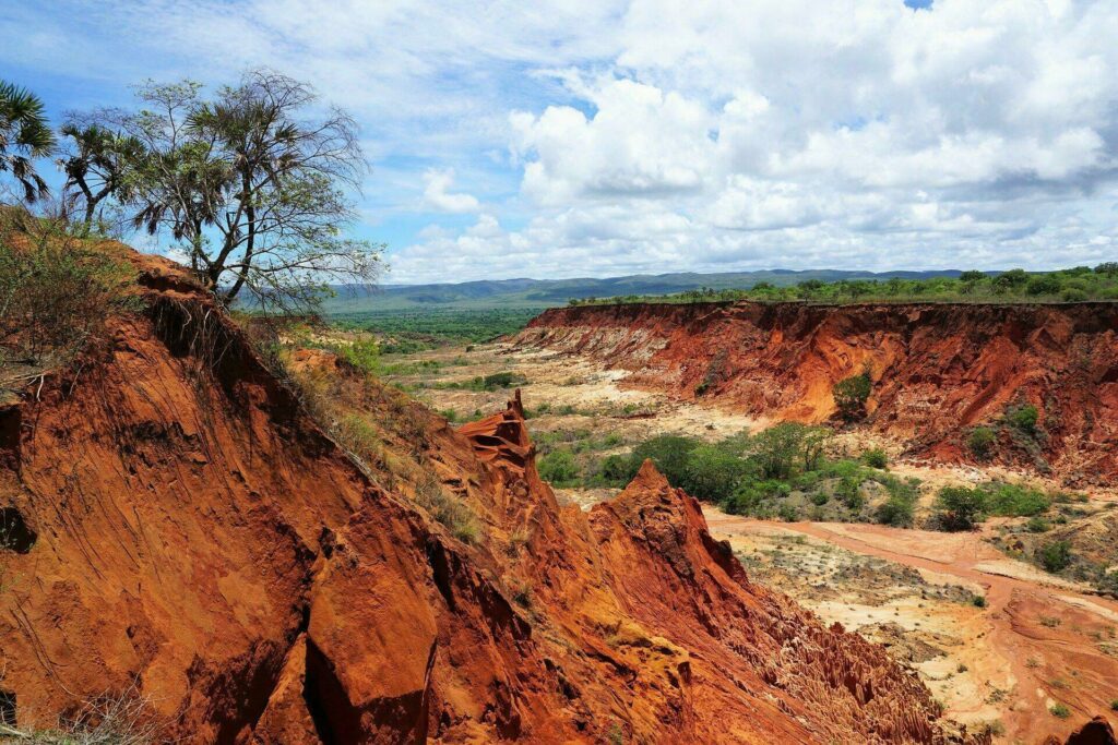 Un des Parcs à Madagascar