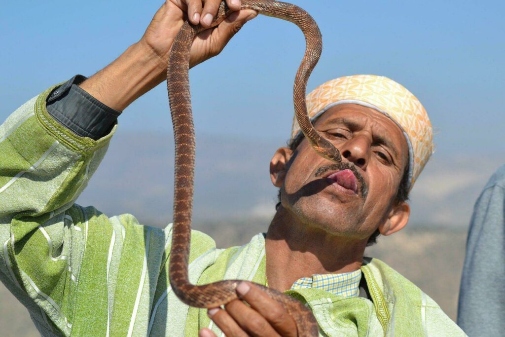 Charmeur de serpent au Maroc