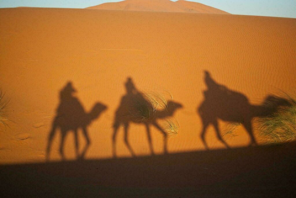 Escapade en famille à dos de chameau