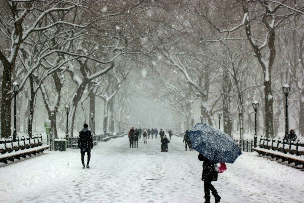 central park hiver