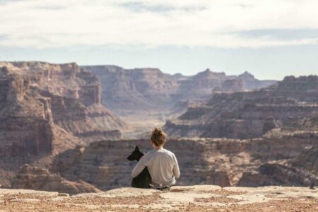 Nos conseils pour bien voyager avec son chien