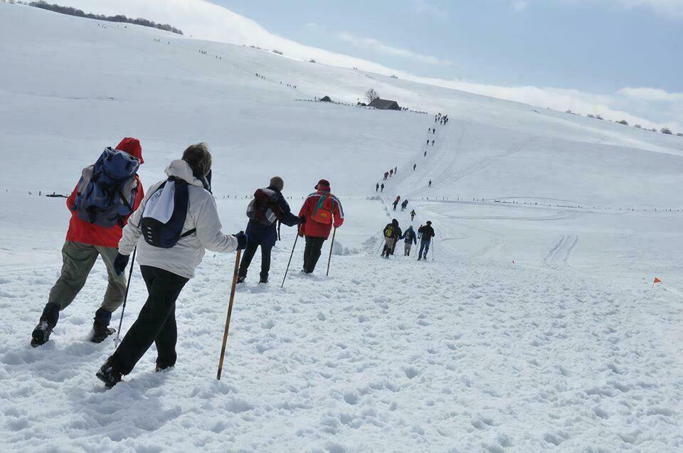 Aubrac Laguiole sports d'hiver