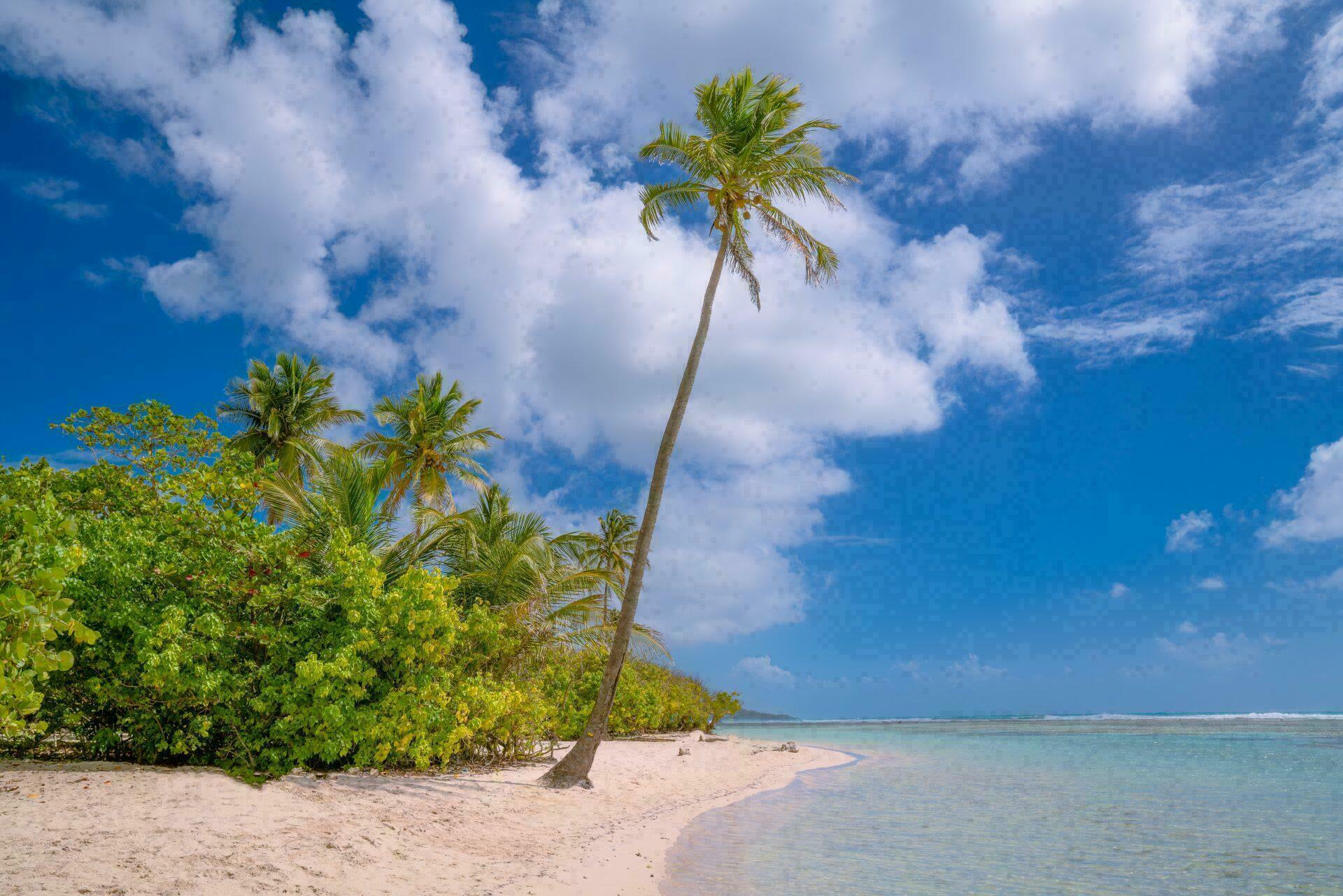 Guadeloupe L indispensable Savoir Pour Pr parer Votre Voyage Guadeloupe L indispensable Savoir Pour Pr parer Votre Voyage