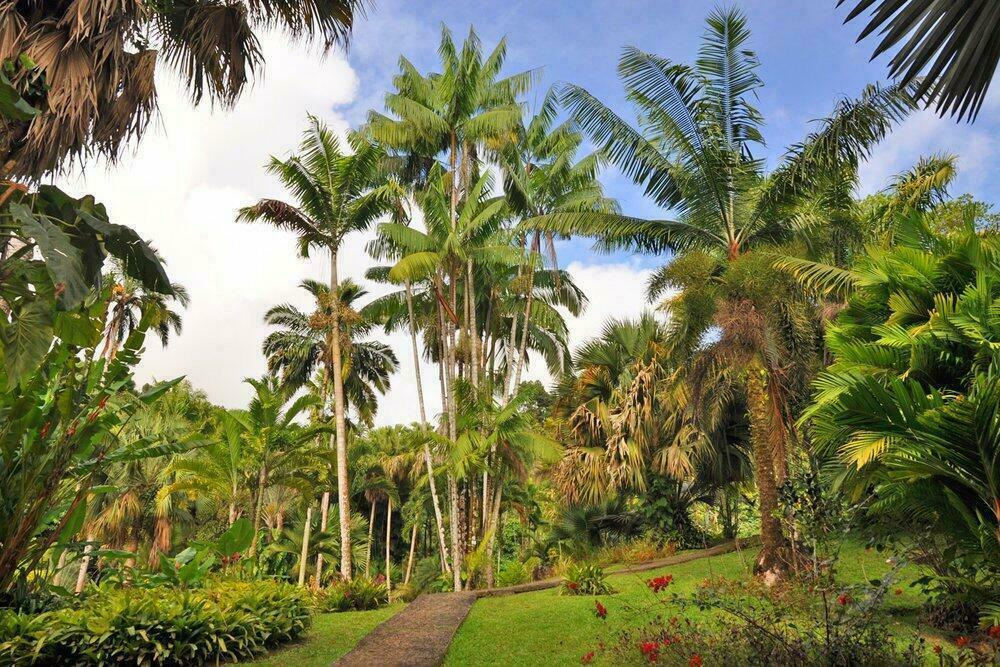 jardin valombreuse