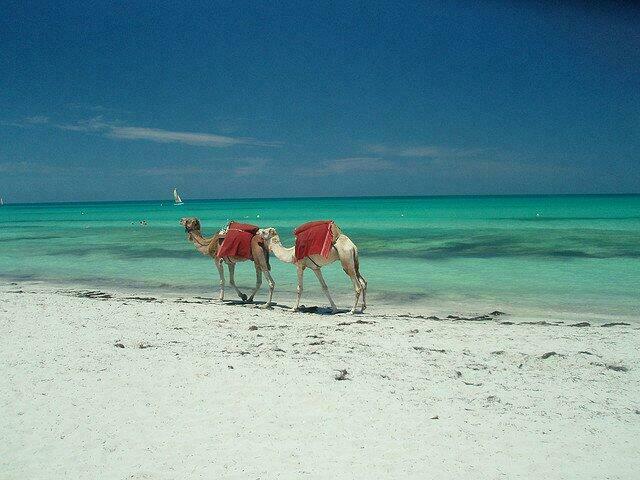 plage Djerba