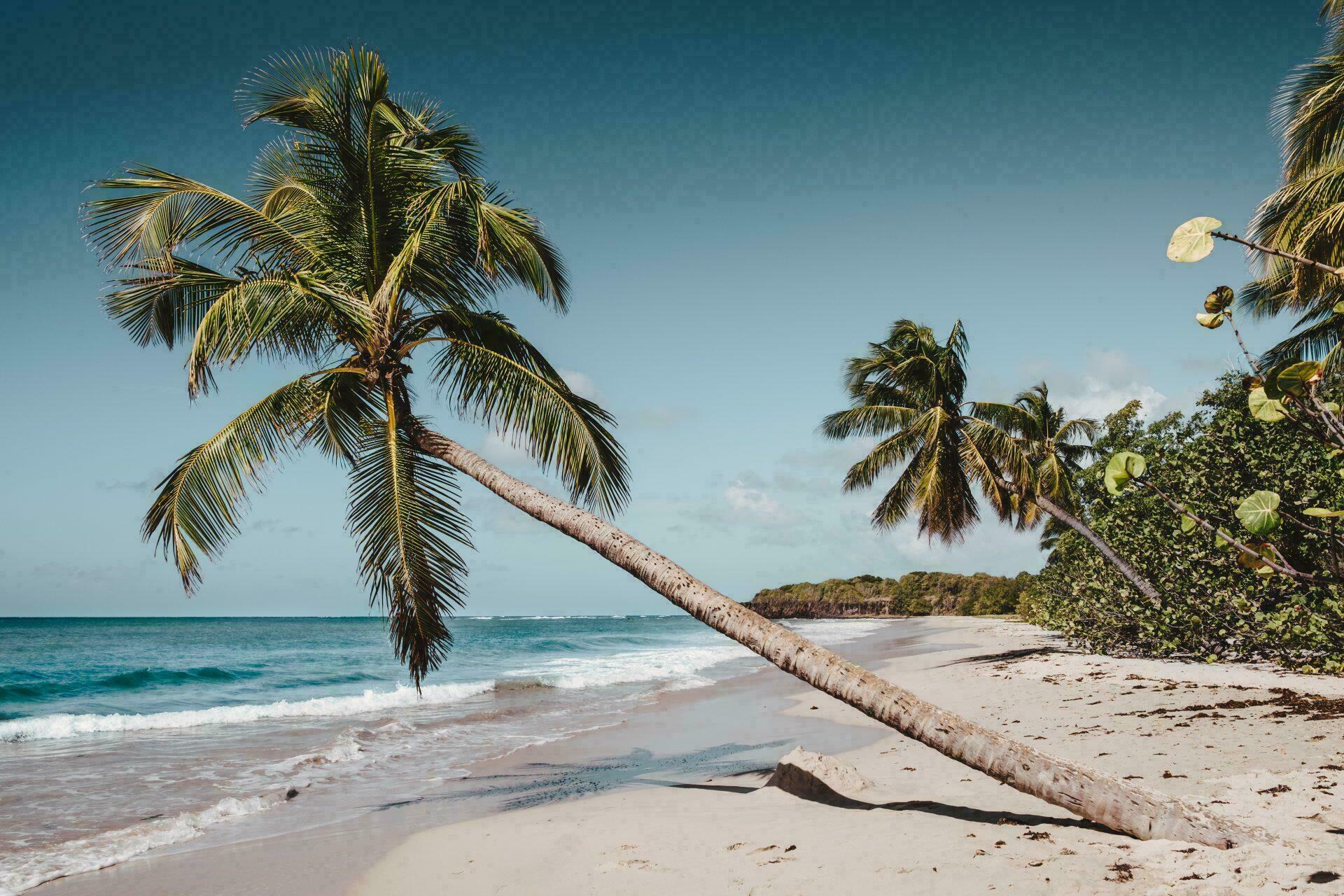 visiter-la-martinique