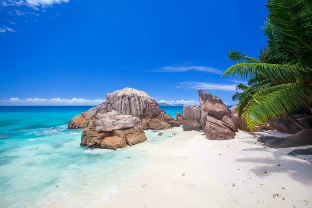Destination paradisiaque : les Seychelles