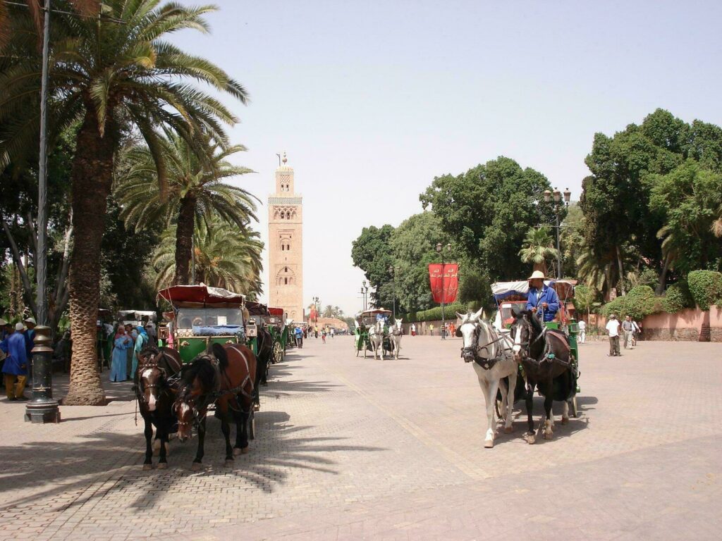 calèches Marrakech