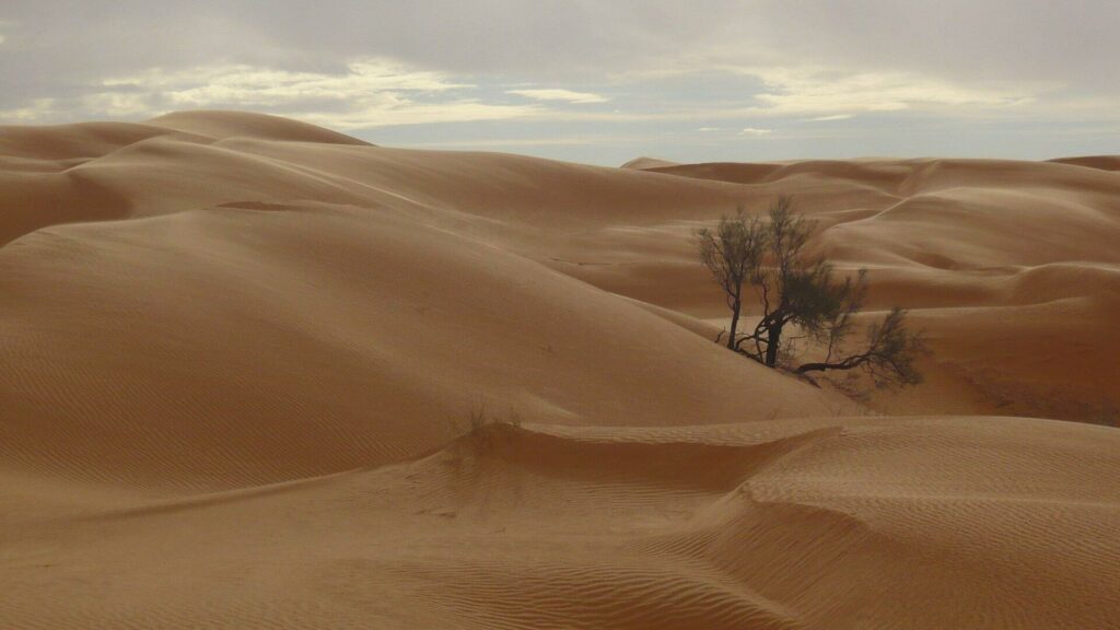 désert Tunisie