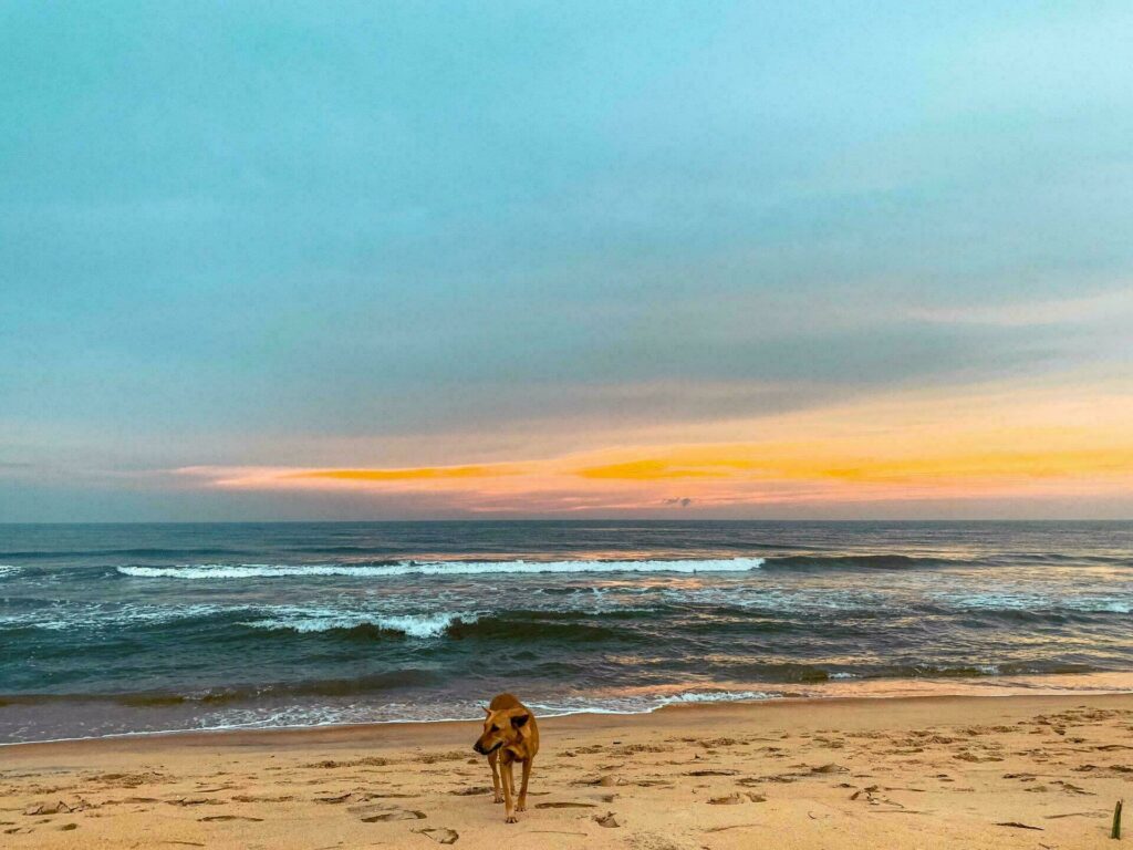 Les magnifiques plages du Sri Lanka