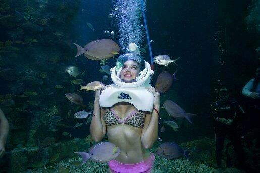 interactive aquarium Cancun