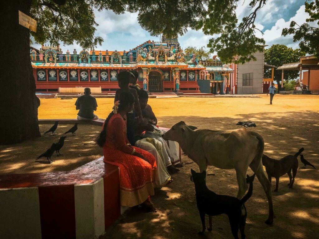 Ziyaretçi Jaffna, Sri Lanka