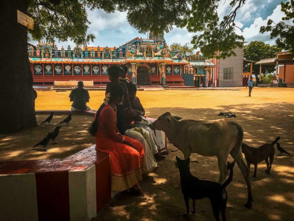 Visiter Jaffna, Sri Lanka