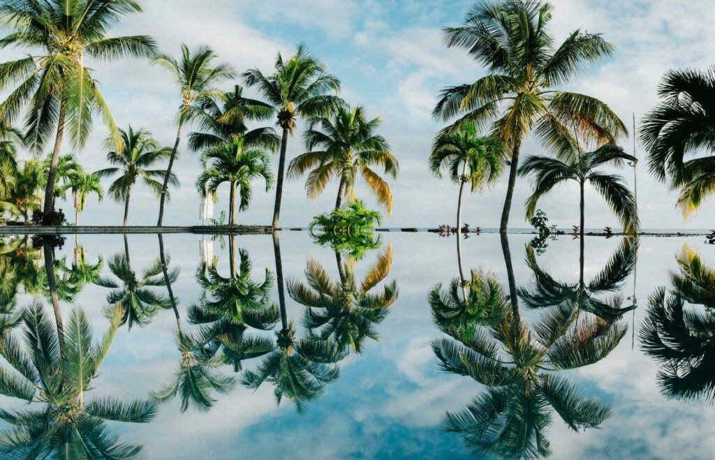 L'île Maurice