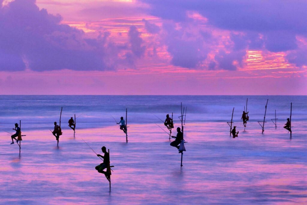 Les fameux pêcheurs sur échasses au Sri Lanka