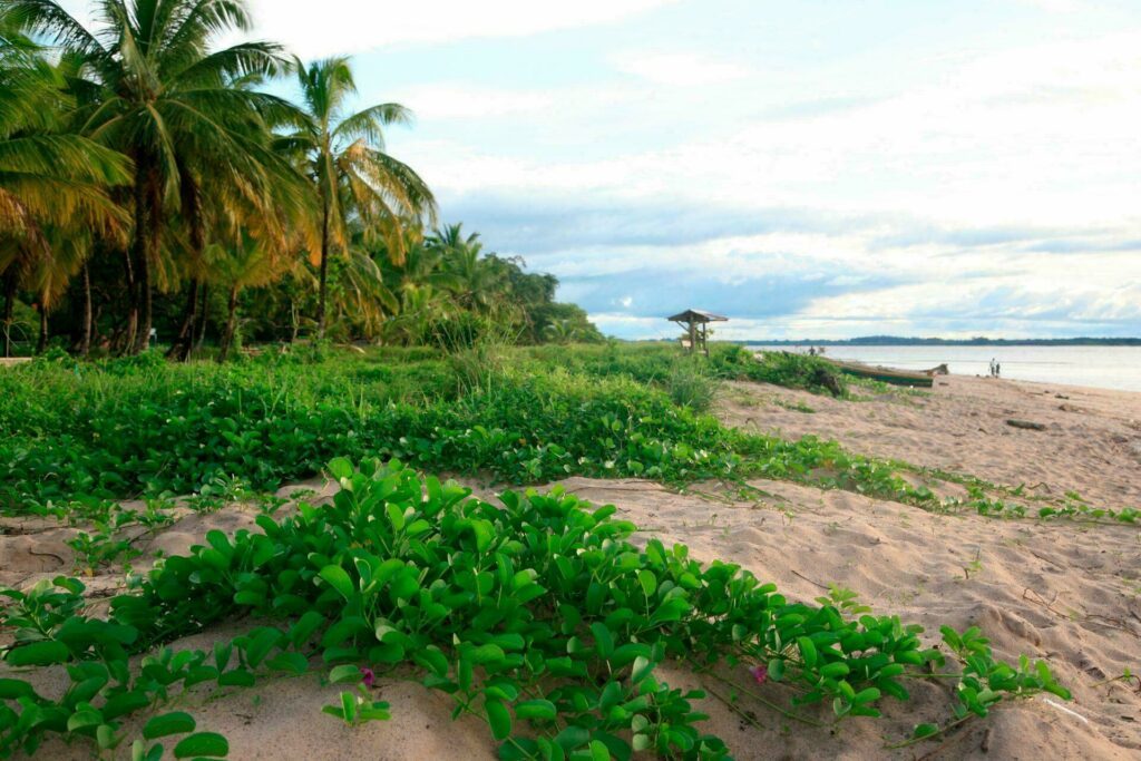 plage des Hattes