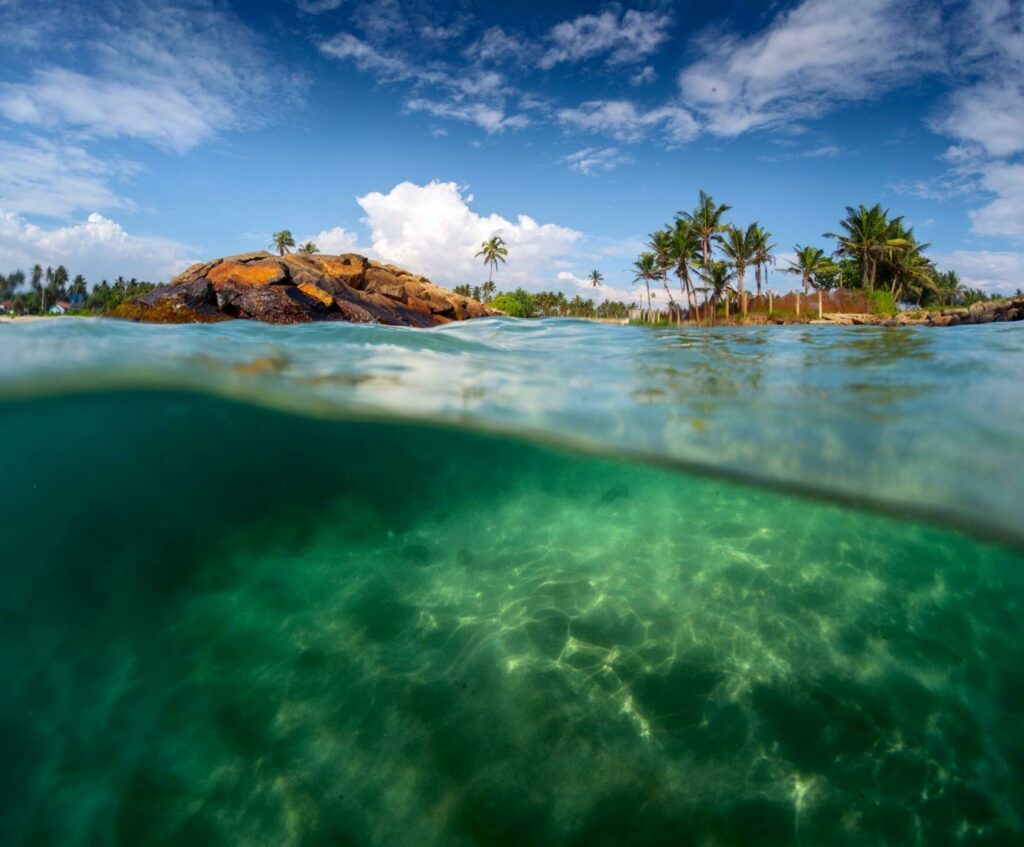 Faire du snorkeling au Sri Lanka